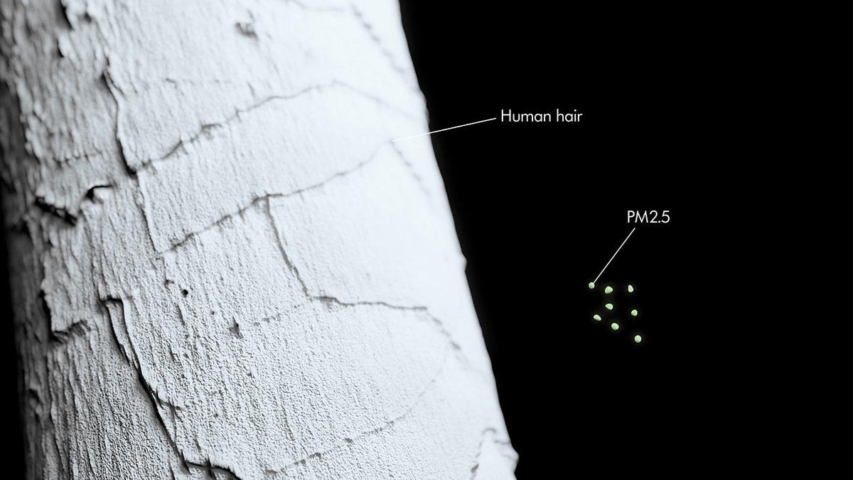 Evimizde Bile Nefes Alamıyoruz: Dyson, Hava Kirliliği En Yüksek Ülkeleri Açıkladı