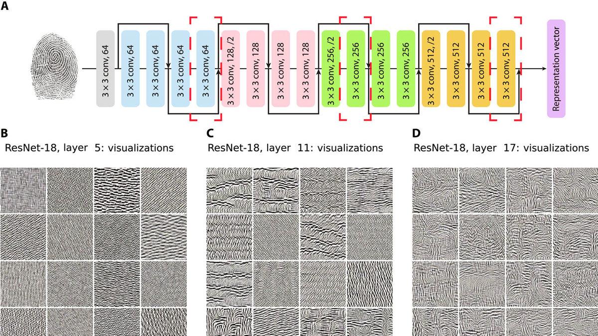 Adli Tıpta Devrim Yaratacak Yapay Zekâ Destekli Araştırma: Tüm Parmak İzleri ’’Benzersiz’’ Değilmiş