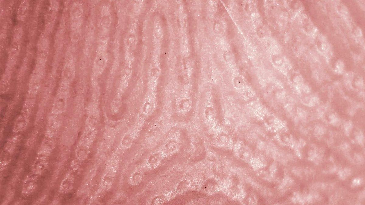 Bir İnsan Vücudunda Toplam Kaç Delik Vardır? 10’dan Fazla Olduğunu Öğrenince Şaşıracaksınız!