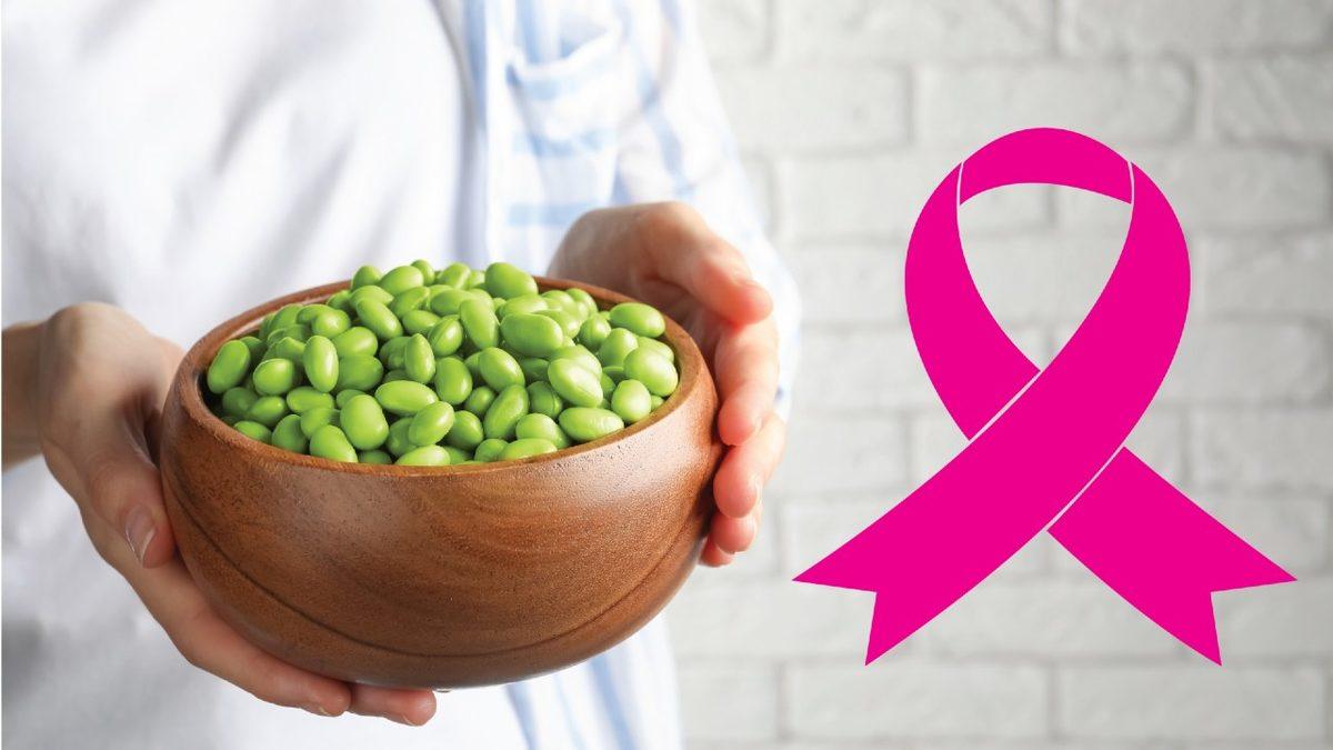 Soya Tüketen Erkeklerin “Kadınsılaşarak” Memelerinin Büyüdüğü Doğru mu?