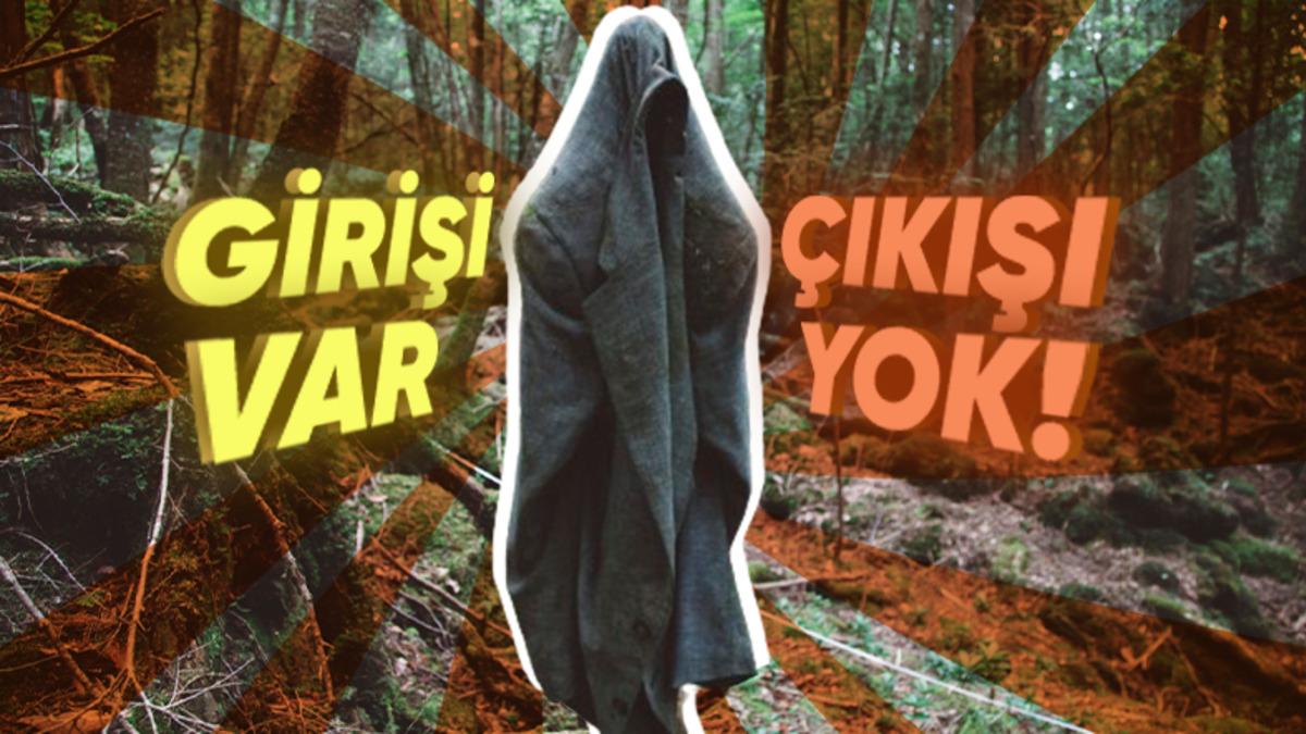 Japonya’da İçine Girenlerin Büyük Olasılıkla İntihar Etmeden Dönmediği Orman: Aokigahara