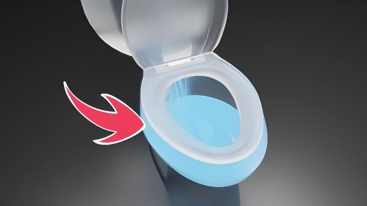 Amerika’daki Klozetlerin Önünde Neden Böyle Bir Boşluk Var? Üstelik Bizdekinden Tek Farkı Bu Değil!