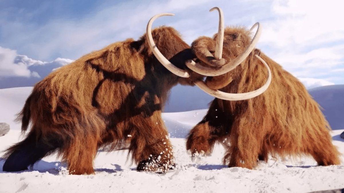 İçimize Bir Üşüme Ürpertisi Geldi: Dünya’nın Tamamında Sadece Kutup İklimi Yaşansaydı Nolurdu?