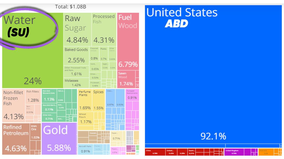 Sosyal Medyada Gündem Olan FIJI Su, Neden Bu Kadar Pahalı ve Popüler?