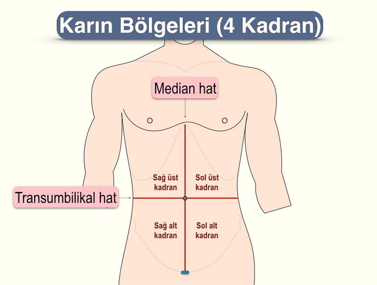 Bilime Göre Bazen Gelip Geçici Bazen de Ciddi Sorunların Habercisi Karın Ağrılarının Arkasında Ne Yatıyor?