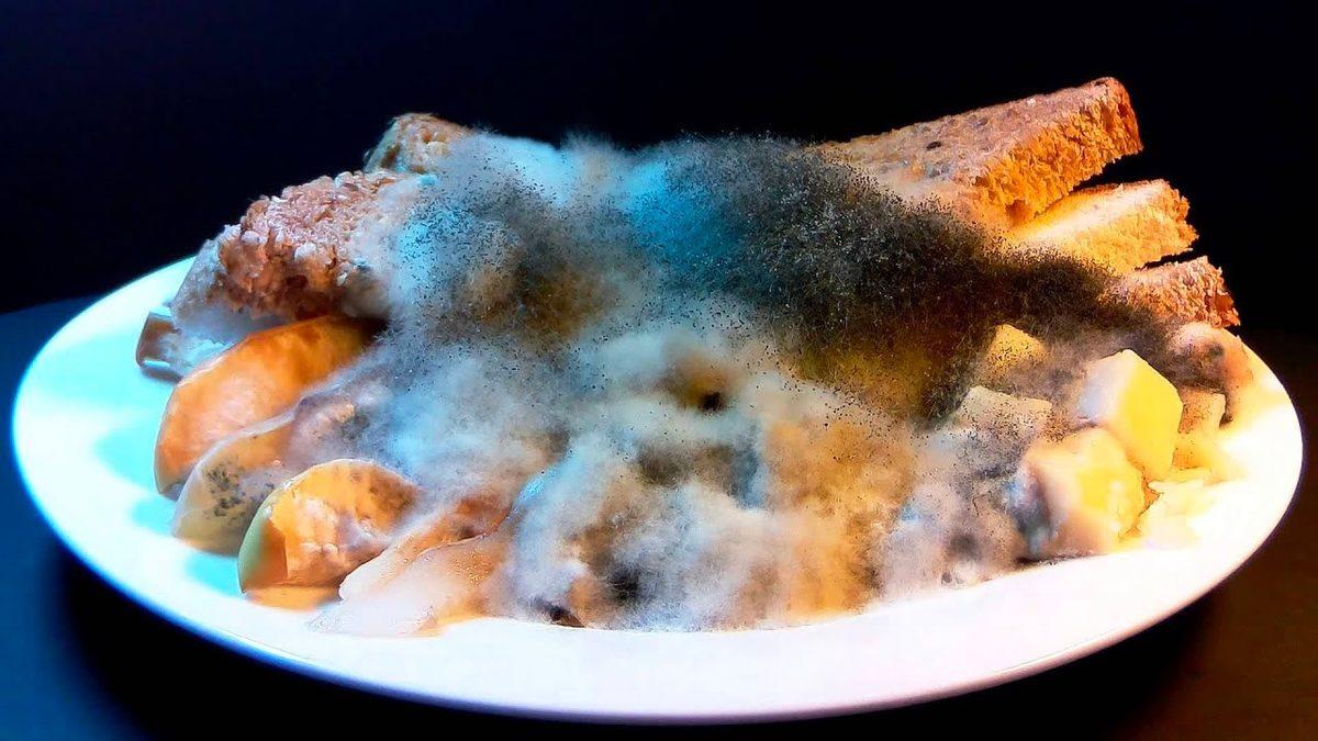Küflü Ekmek Yemek Zararlıyken Küflü Peynir Yemek Neden Genellikle Zararsızdır?