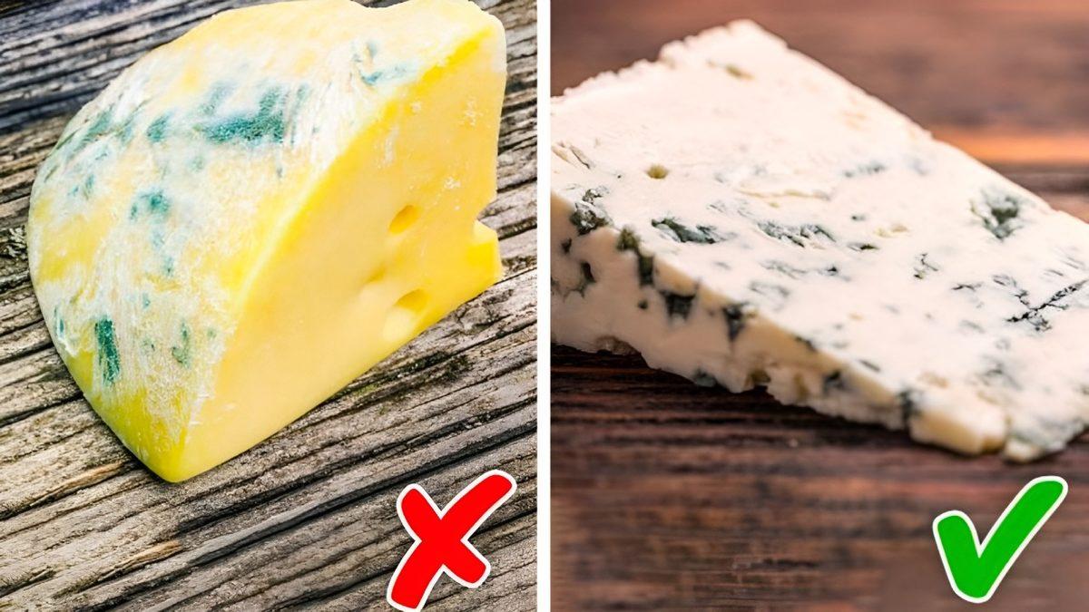 Küflü Ekmek Yemek Zararlıyken Küflü Peynir Yemek Neden Genellikle Zararsızdır?