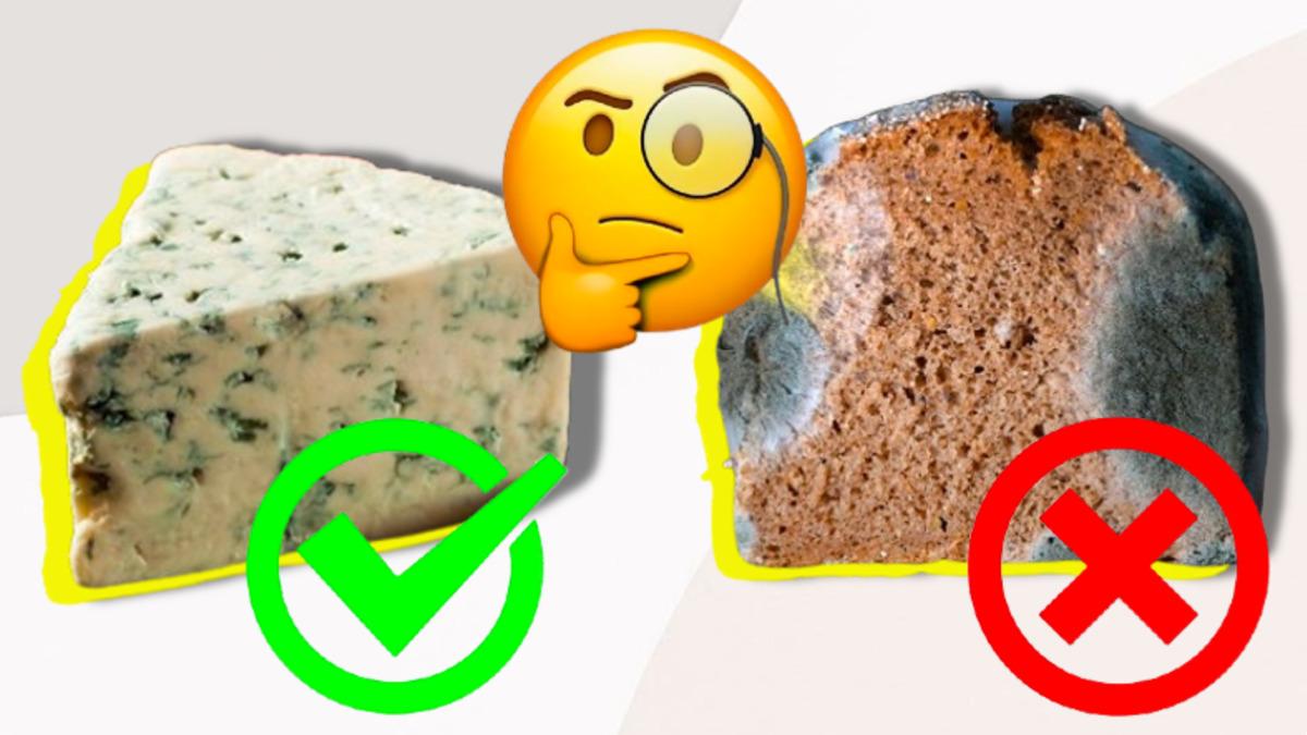 Küflü Ekmek Yemek Zararlıyken Küflü Peynir Yemek Neden Genellikle Zararsızdır?