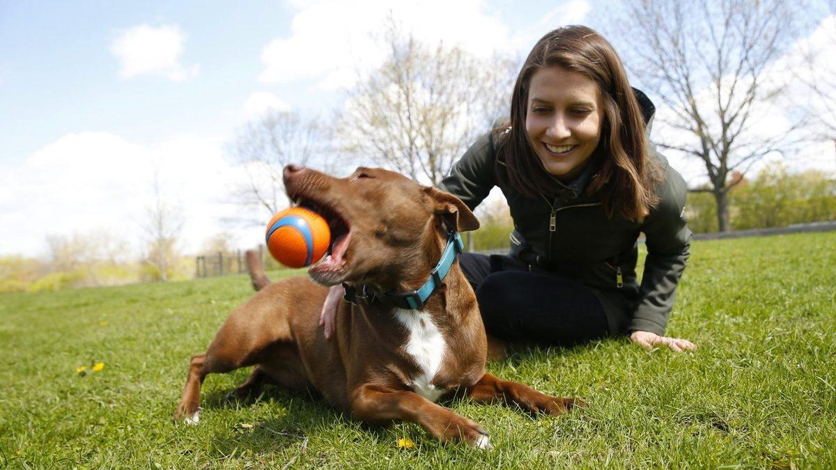 Evcil Hayvanları Âdeta Konuşturan Sesli Komut Butonları, Gerçekten İşe Yarıyor mu?