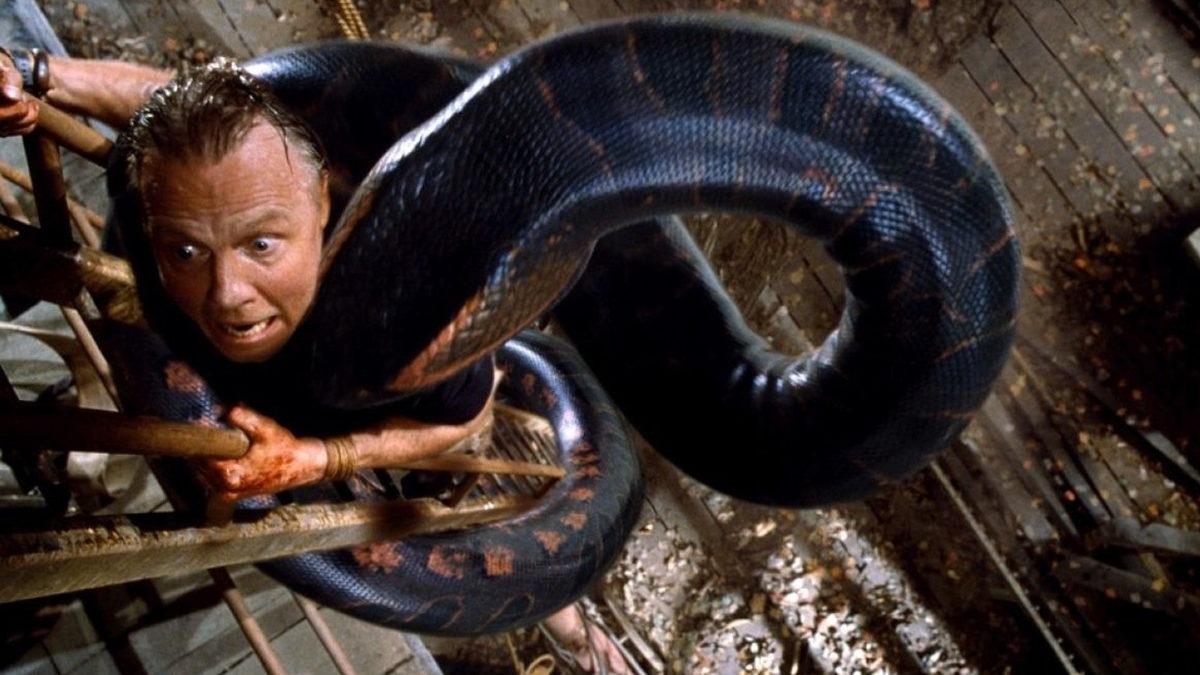 Çiftleşmelerinin Nasıl Olduğunu ve Ne Kadar Sürdüğünü Okuyunca Küçük Dilinizi Yutabilirsiniz: Anakondalar Hakkında 11 Şaşırtıcı Gerçek