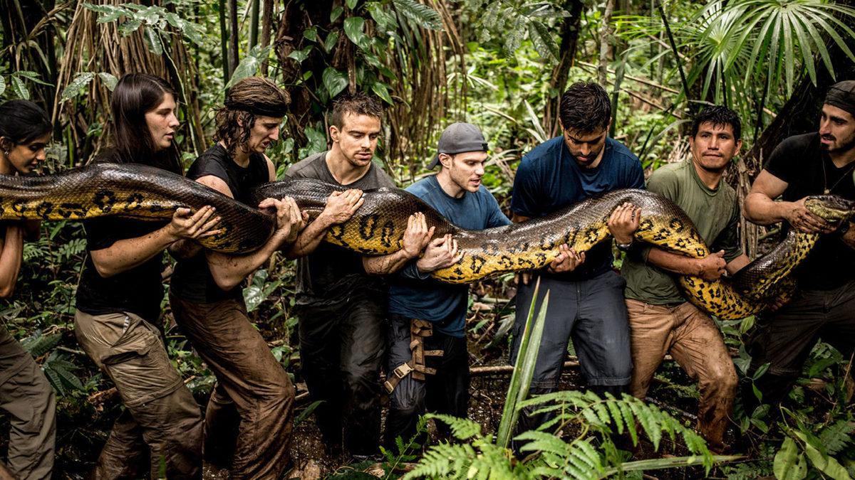 Çiftleşmelerinin Nasıl Olduğunu ve Ne Kadar Sürdüğünü Okuyunca Küçük Dilinizi Yutabilirsiniz: Anakondalar Hakkında 11 Şaşırtıcı Gerçek