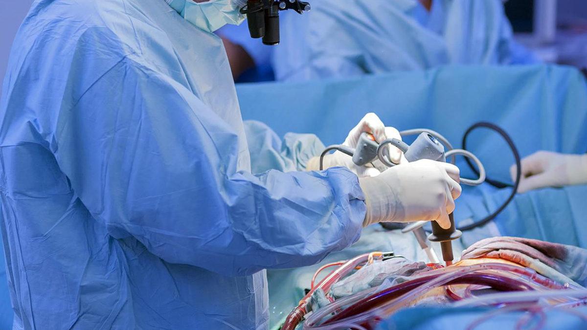 Yabancı Kökenli Bu Kelimelerin Türkçe Karşılıklarını Öğrenince “TDK Artık Zorlamasan mı?” Diyeceksiniz