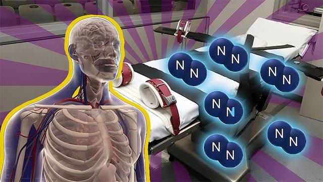 ABD Tarihinde İlk Kez Nitrojen Gazıyla İdam Yöntemi Uygulandı: Peki Bu Süreç Nasıl İşliyor, Etkileri Nedir?