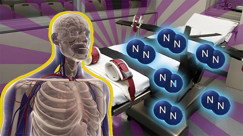 ABD Tarihinde İlk Kez Nitrojen Gazıyla İdam Yöntemi Uygulandı: Peki Bu Süreç Nasıl İşliyor, Etkileri Nedir?