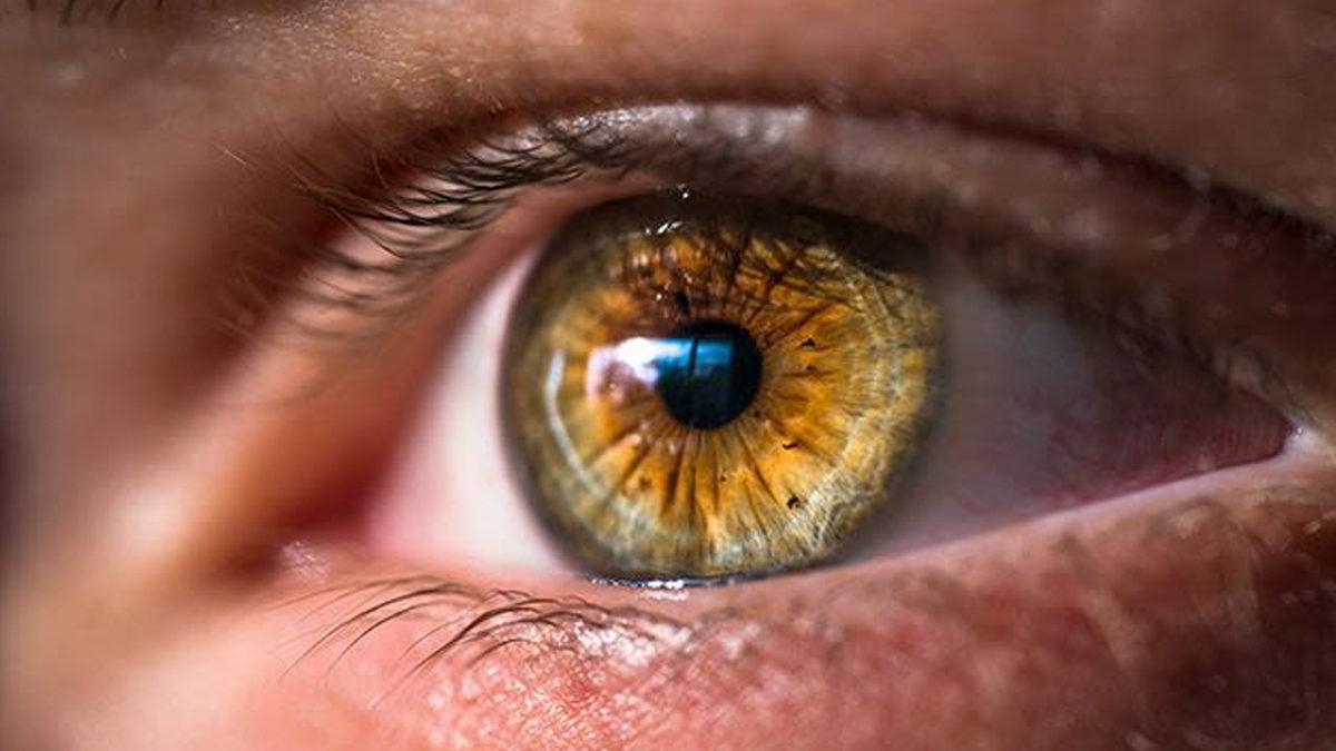 Ela Göz Rengi Hakkında 8 Bilimsel Gerçek: Ağrı Eşikleri Bile Farklıymış!