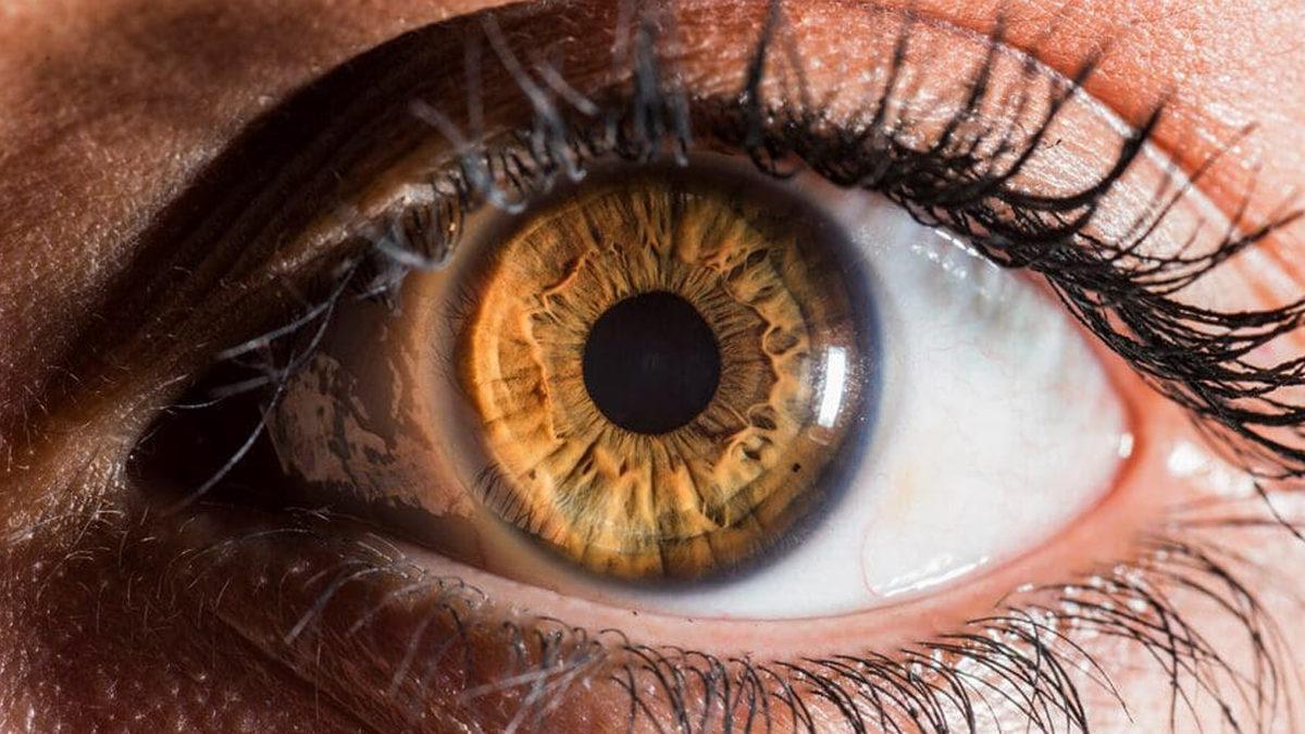 Ela Göz Rengi Hakkında 8 Bilimsel Gerçek: Ağrı Eşikleri Bile Farklıymış!