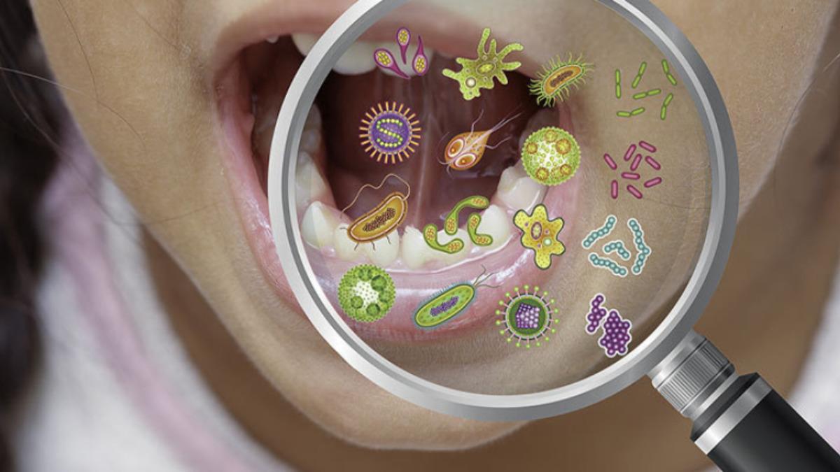 Vücudumuzda, Bizimle Birlikte Yaşayan "Obelisk" İsimli Yeni Bir Yaşam Türü Bulundu: Virüs Gibi Ama Değil