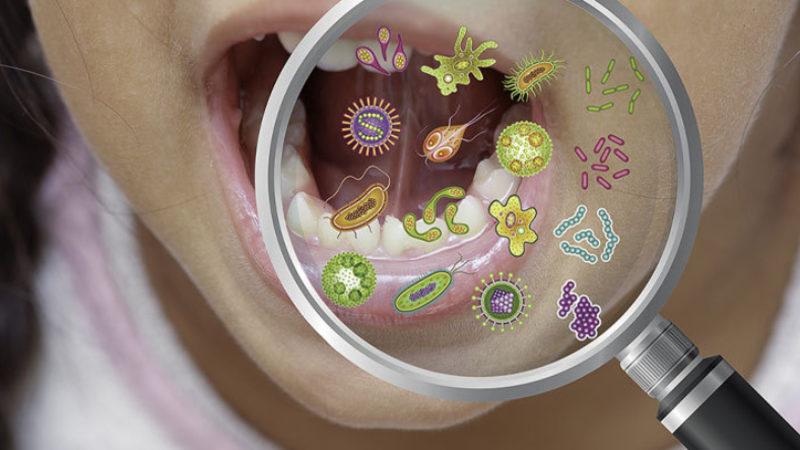 Vücudumuzda, Bizimle Birlikte Yaşayan "Obelisk" İsimli Yeni Bir Yaşam Türü Bulundu: Virüs Gibi Ama Değil