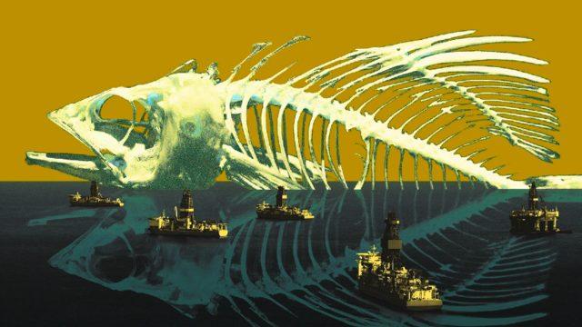 Okyanuslarda Yaşayan Tüm Canlılar Aniden Yok Olsaydı Dünya’ya ve Bize Ne Olurdu?