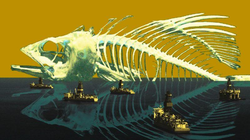 Okyanuslarda Yaşayan Tüm Canlılar Aniden Yok Olsaydı Dünya’ya ve Bize Ne Olurdu?