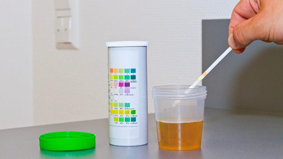 Hayvan Dışkısı Yerine İnsan Dışkısını Gübre Olarak Kullansak Yemeklerimize Olumlu Bir Katkısı Olur mu?