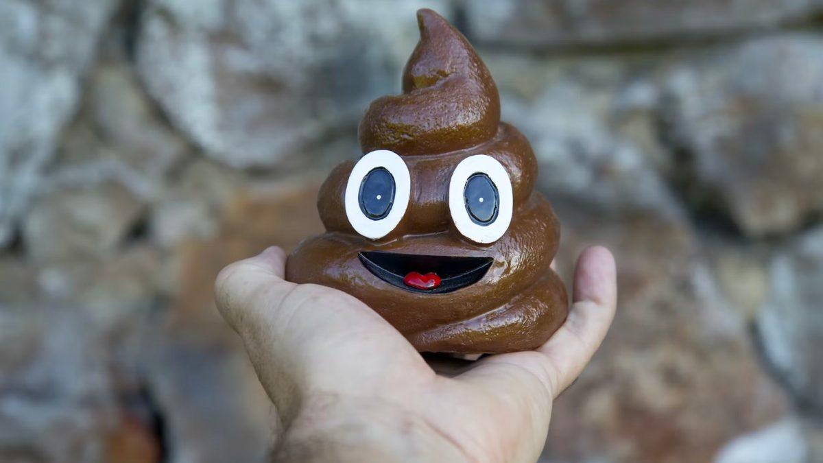 Hayvan Dışkısı Yerine İnsan Dışkısını Gübre Olarak Kullansak Yemeklerimize Olumlu Bir Katkısı Olur mu?