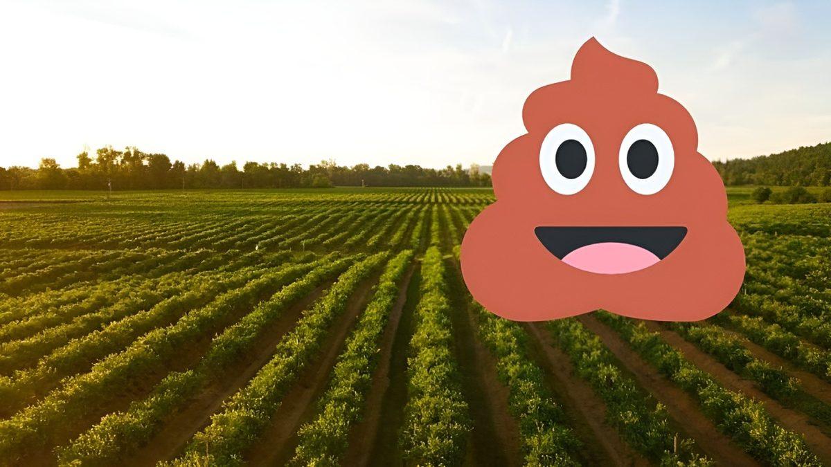 Hayvan Dışkısı Yerine İnsan Dışkısını Gübre Olarak Kullansak Yemeklerimize Olumlu Bir Katkısı Olur mu?