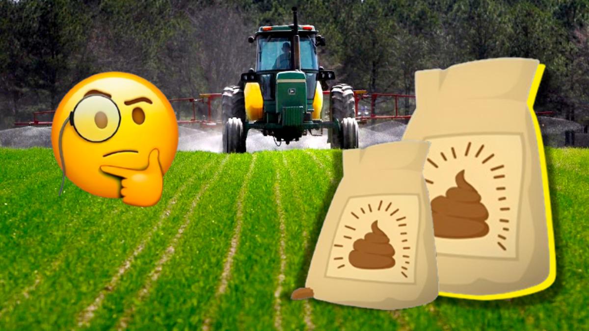 Hayvan Dışkısı Yerine İnsan Dışkısını Gübre Olarak Kullansak Yemeklerimize Olumlu Bir Katkısı Olur mu?