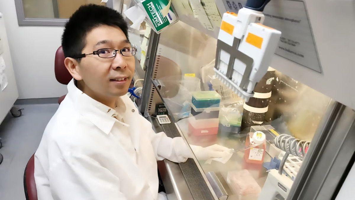 Üç Boyutlu Baskıyla Üretilen İnsan Beyni Dokusu, Gerçek Bir Beyin Gibi Büyüyor