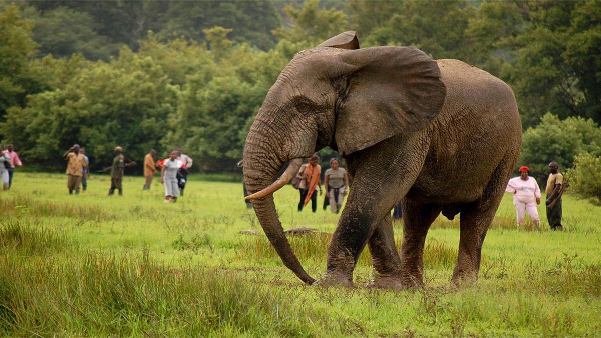 Afrika’nın En Güvenli Ülkelerinden Biri Olarak Sayılan Gana Hakkında 11 İlginç Bilgi (İsminin Anlamı Epey Şaşalı!)
