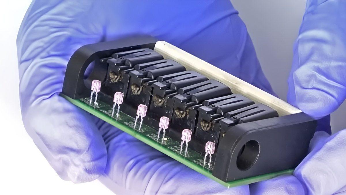 Arıları Bu Şekilde Dijital Sensör Olarak Kullanmak Zalimlik mi? Hangi Amaç İçin Kullanılıyorlar?