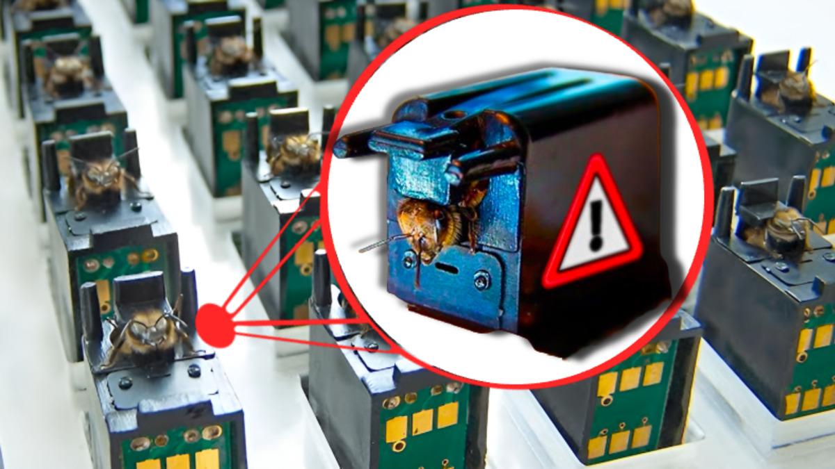 Arıları Bu Şekilde Dijital Sensör Olarak Kullanmak Zalimlik mi? Hangi Amaç İçin Kullanılıyorlar?