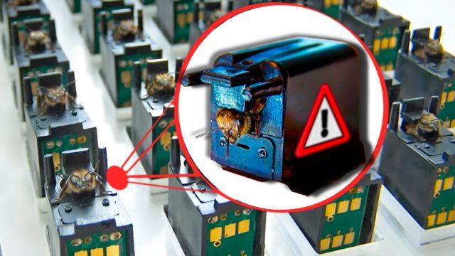 Arıları Bu Şekilde Dijital Sensör Olarak Kullanmak Zalimlik mi? Hangi Amaç İçin Kullanılıyorlar?