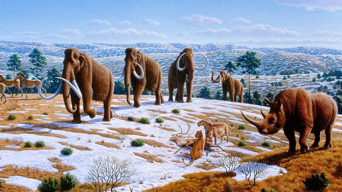 Buz Devri’nde İzlediklerimizden Çok Daha Fazlası: 11 Bin Yıl Evvel Soyları Tükenen Mamutlar Hakkında 10 Gerçek