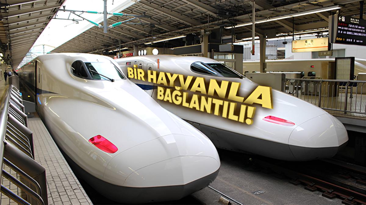 Japonya’nın, Yüksek Hızlı Trenlerin Ön Kısmını Uzatma Nedenini Öğrenince Mühendislerine Büyük Saygı Duyacaksınız