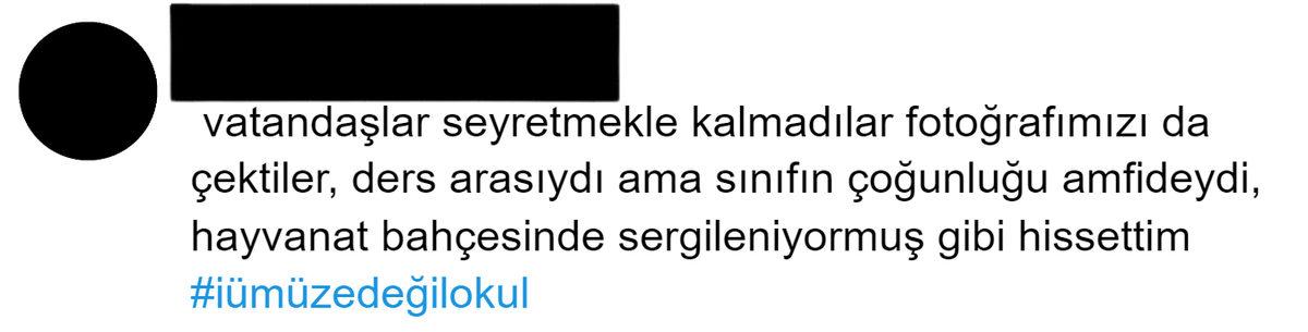 İstanbul Üniversitesinde Vatandaşların Ders Sırasında Amfilere Girmesi Gündem Oldu: İşte Gelen Tepkiler