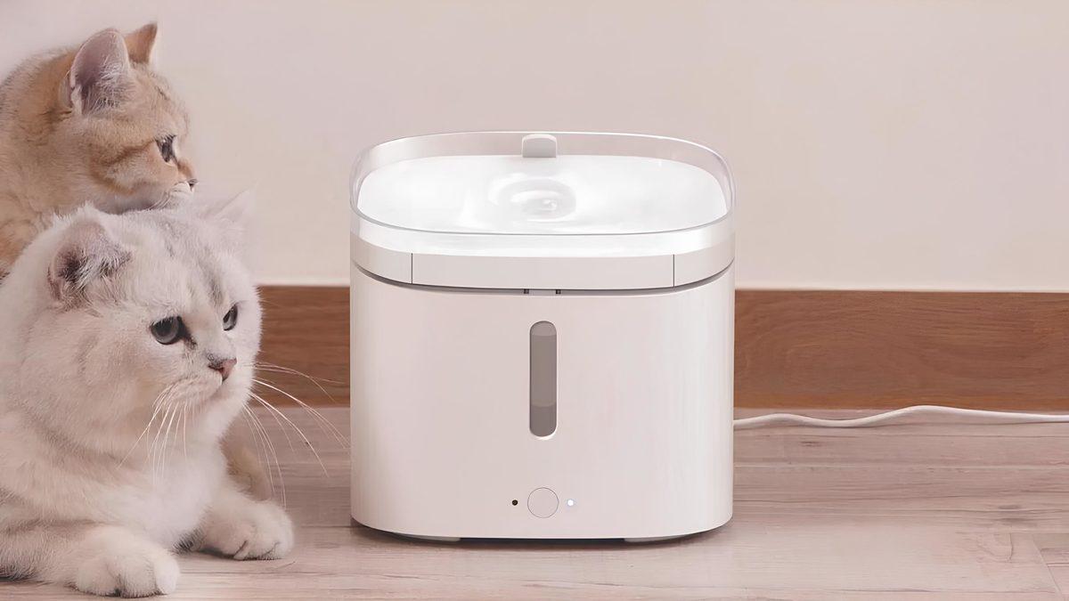 Kedi Ebeveynleri Buraya: Kedi Sahiplerinin Hayatını Kolaylaştıracak Ürünler