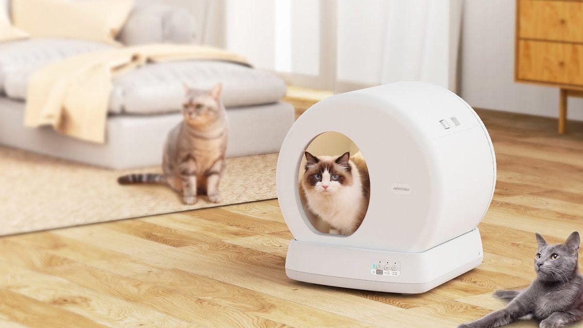 Kedi Ebeveynleri Buraya: Kedi Sahiplerinin Hayatını Kolaylaştıracak Ürünler