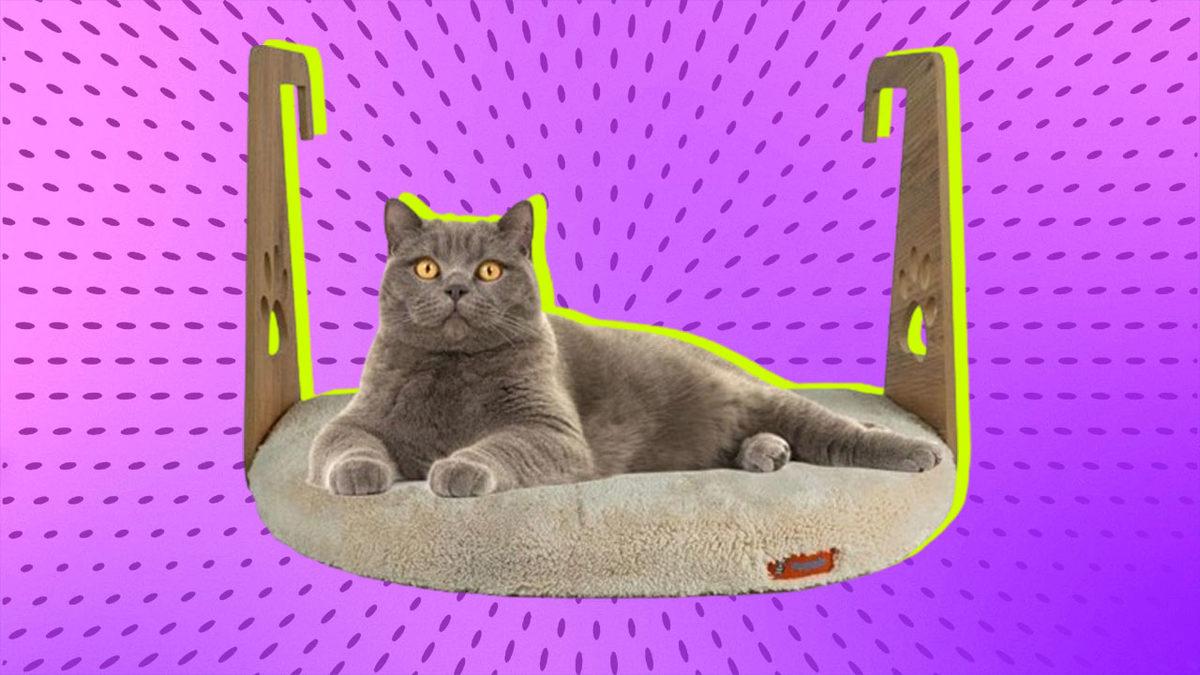 Kedi Ebeveynleri Buraya: Kedi Sahiplerinin Hayatını Kolaylaştıracak Ürünler