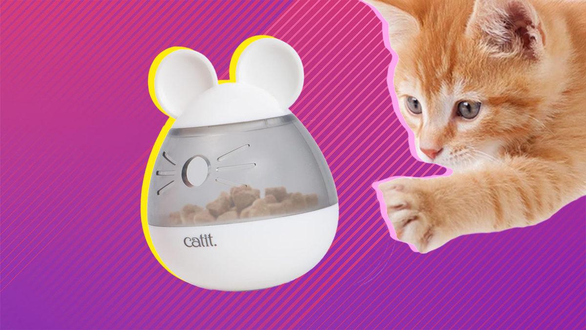 Kedi Ebeveynleri Buraya: Kedi Sahiplerinin Hayatını Kolaylaştıracak Ürünler