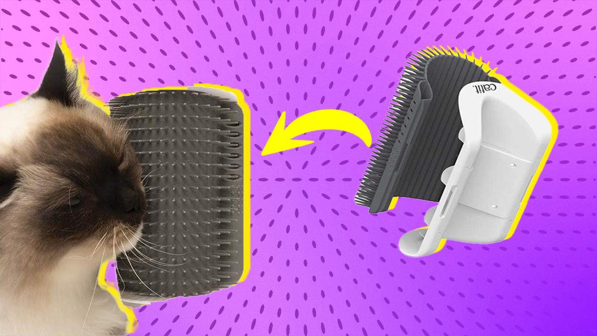 Kedi Ebeveynleri Buraya: Kedi Sahiplerinin Hayatını Kolaylaştıracak Ürünler