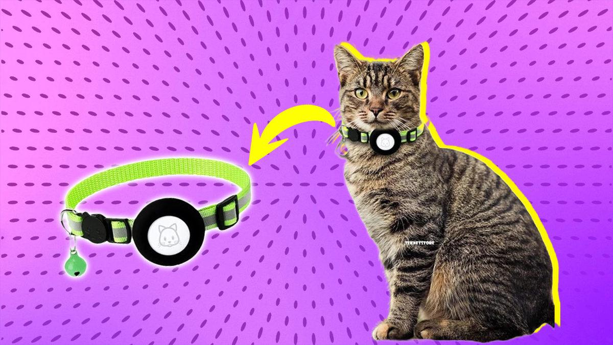 Kedi Ebeveynleri Buraya: Kedi Sahiplerinin Hayatını Kolaylaştıracak Ürünler