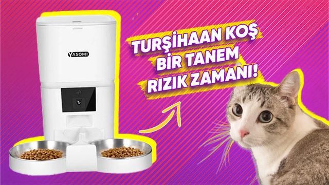 Kedi Ebeveynleri Buraya: Kedi Sahiplerinin Hayatını Kolaylaştıracak Ürünler