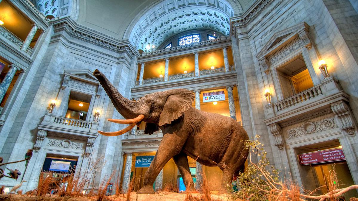 Amerika Hakkındaki Gerçekleri Derledik: Bazıları 