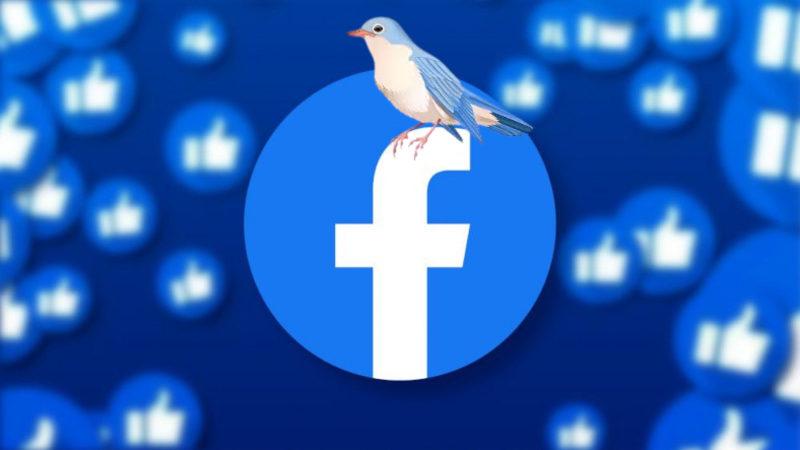 Facebook Uygulamasını Kullanırken "Kuş Cıvıltısı" Duyuyorsanız Dikkat: Nedeni Açıklandı!