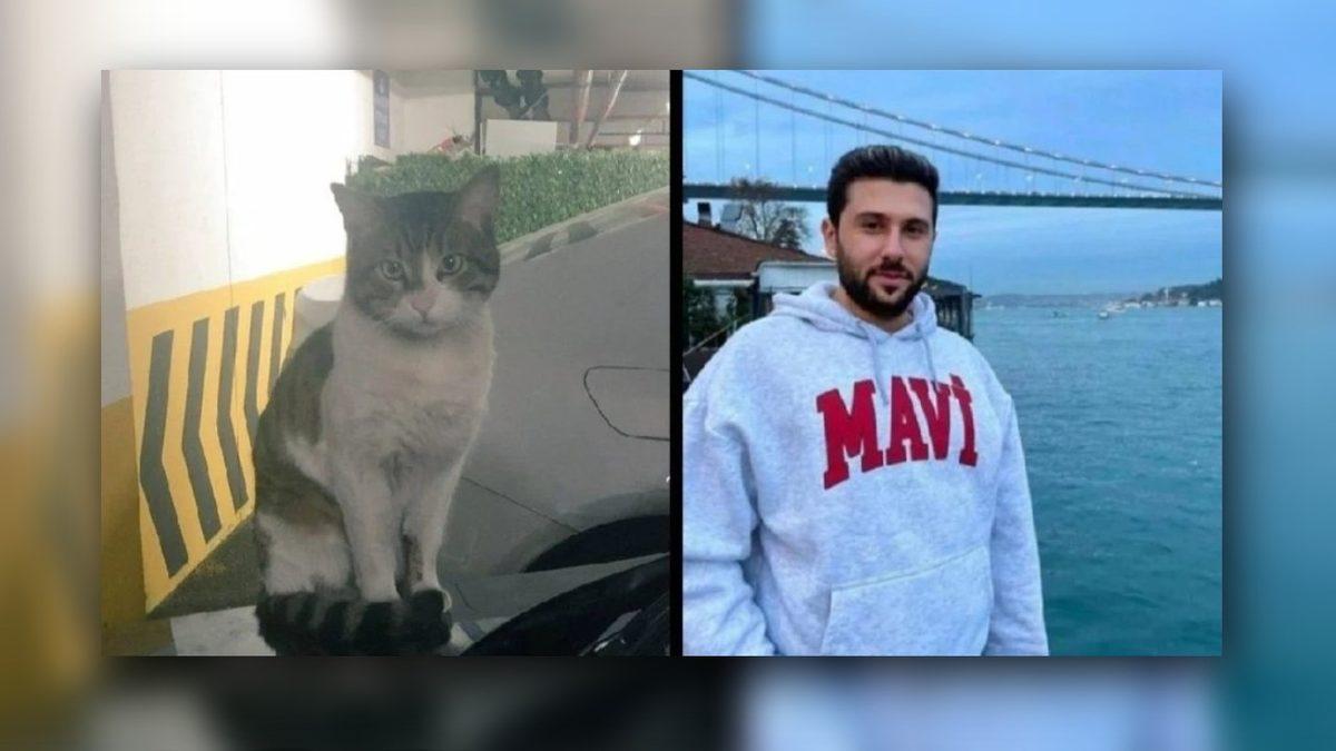 Eros Adlı Kedinin Katili, Bu Suçu Hayvan Haklarının 