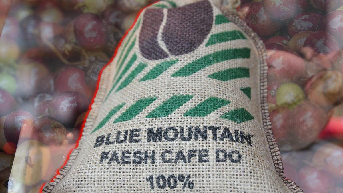 Dünyanın En Pahalı Kahvesine Ev Sahipliği Yapan Jamaika’nın İnsana Uçak Bileti Aldıracak Özellikleri (Tek Bir Yönü Hariç!)