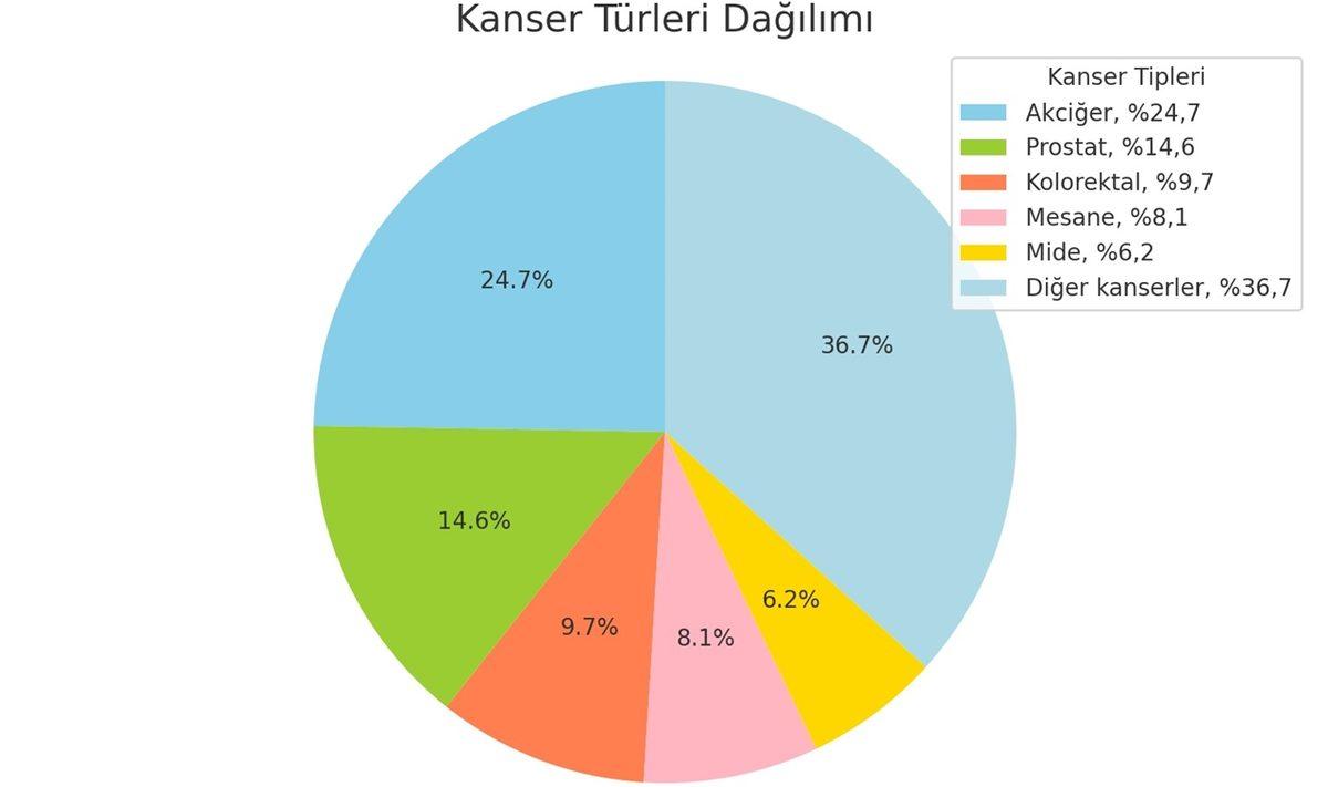 Erkeklerin Prostat Kanserine Bu Kadar Fazla Yakalanmasının Sebebi Nedir? Hele de 40 Yaşını Geçtiyse!