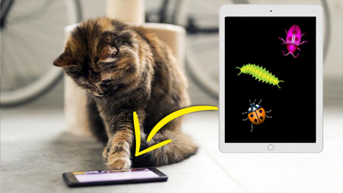 Bu Sefer Kendimiz İçin Değil Sevimli Dostlarımız İçin Hazırladık: Kedilerinizin Zevkle Oynayacağı 5 Mobil Oyun