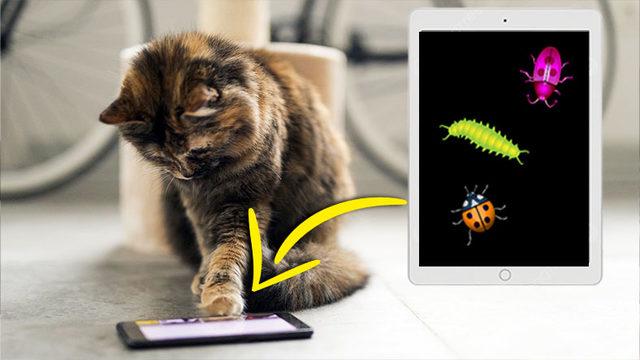 Bu Sefer Kendimiz İçin Değil Sevimli Dostlarımız İçin Hazırladık: Kedilerinizin Zevkle Oynayacağı 5 Mobil Oyun